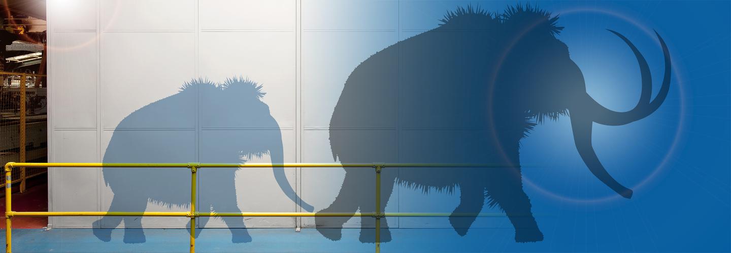 Two mammoth shadows passing by Bastion, a Commercial Partitioning product.
